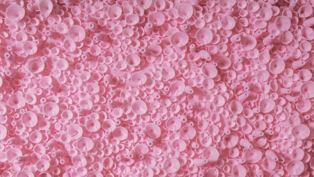 Foam