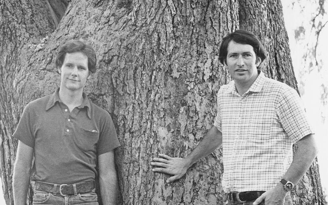 Tree Champions
