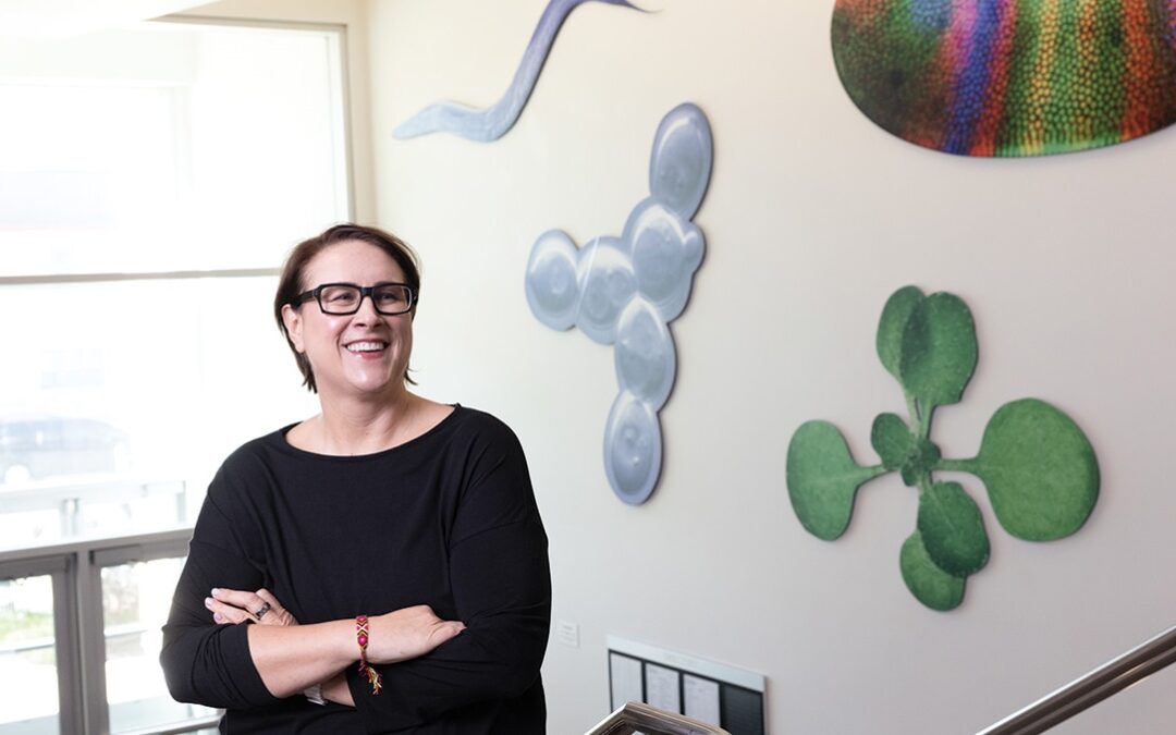 Artful Science and Scientific Art