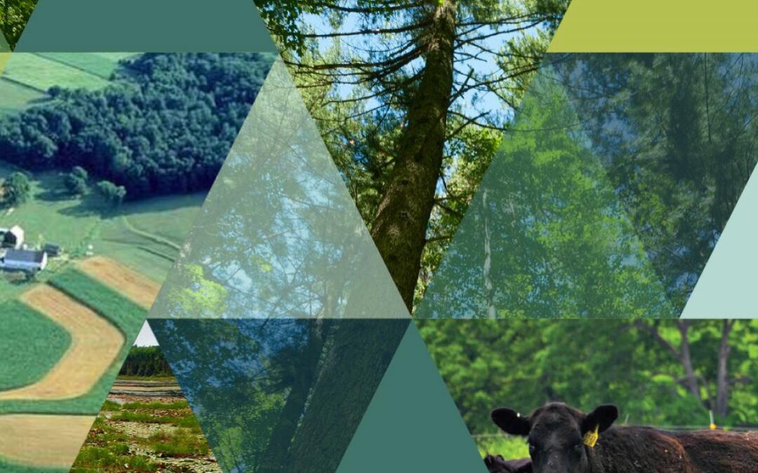 Climate-Critical Lands Briefing