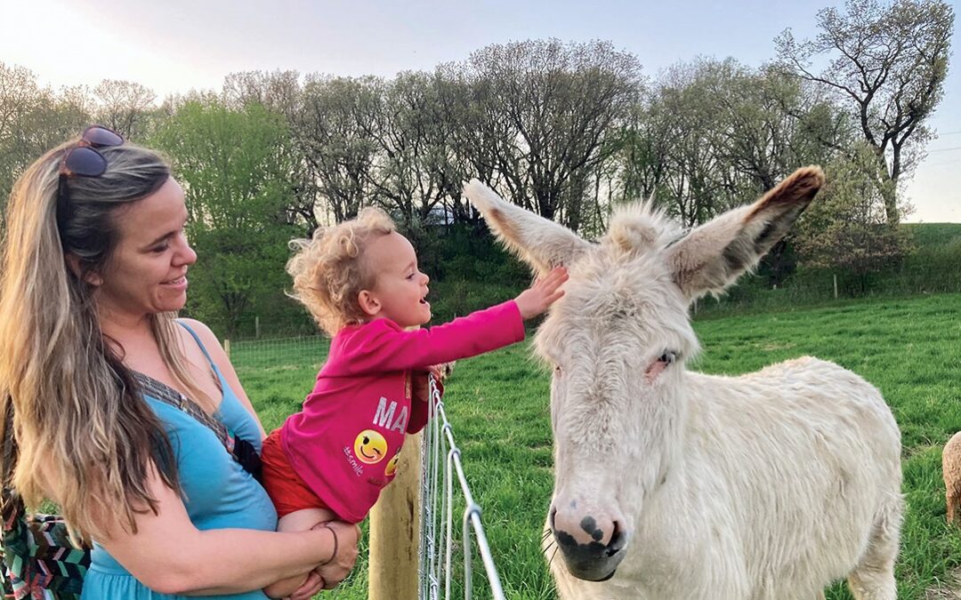 Farm and Table: Bringing People Together One Burger At A Time