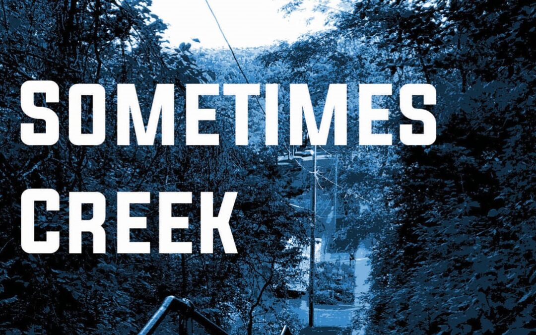 Sometimes Creek  by Steve Fox