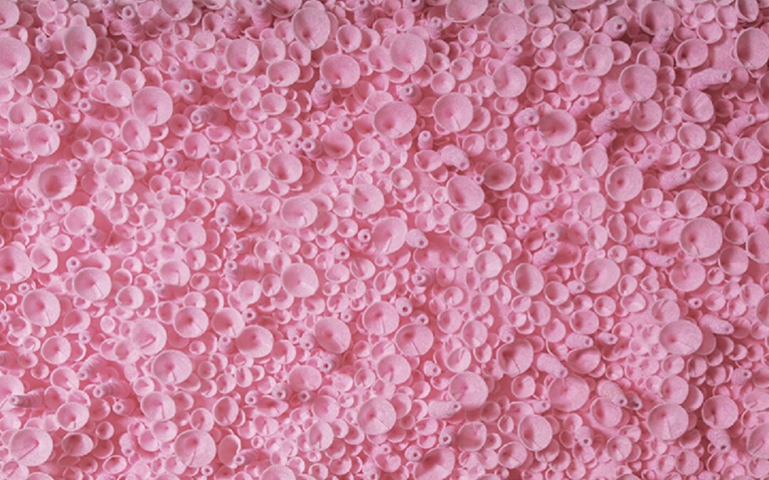 See Foam