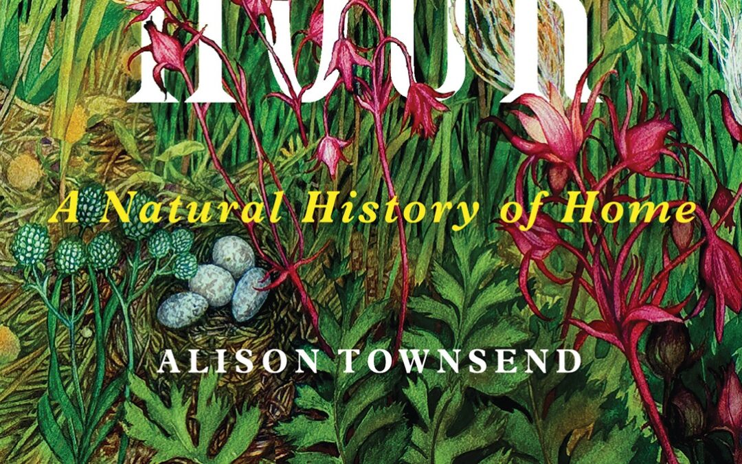 The Green Hour: A Natural History of Home  by Alison Townsend