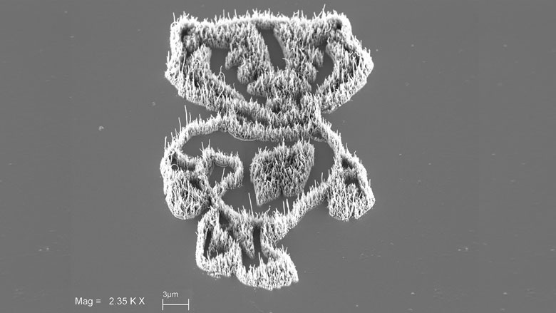 Small Science, Big Picture