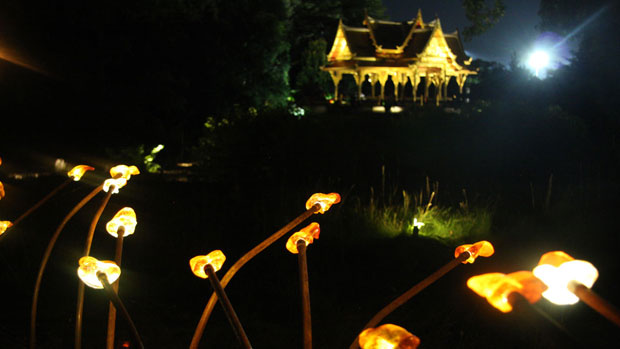 In a Botanical Light