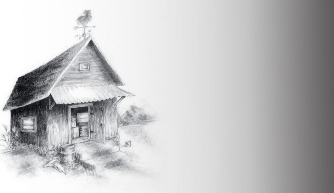 Junk Shed