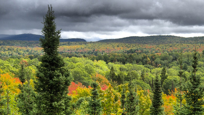 Ironwood: The Rocks of the Penokee Range