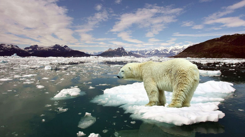 Understanding Climate Change (Or Not)