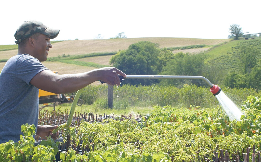 Agroforestry as a Natural Climate Solution