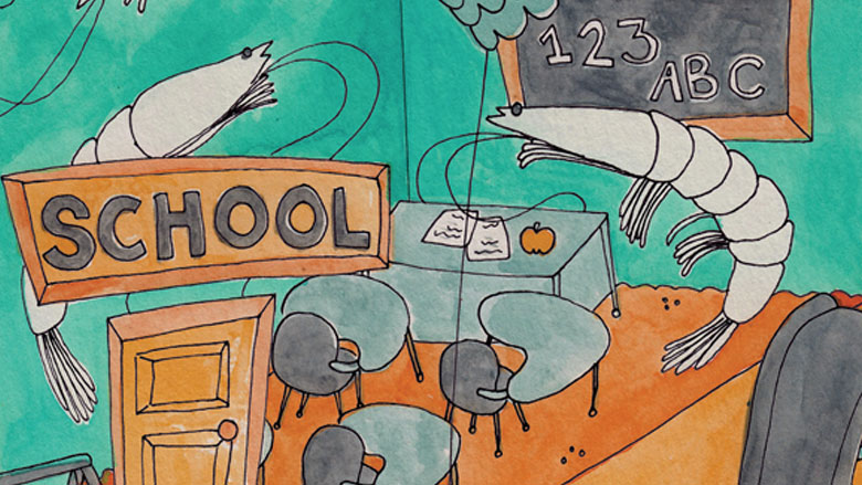 Shrimp School