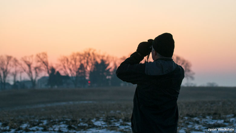 Field Notes from a Christmas Bird Count