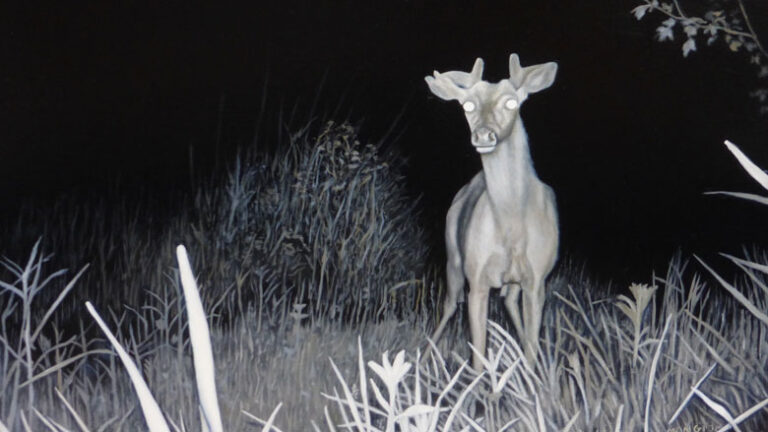 Night Vision