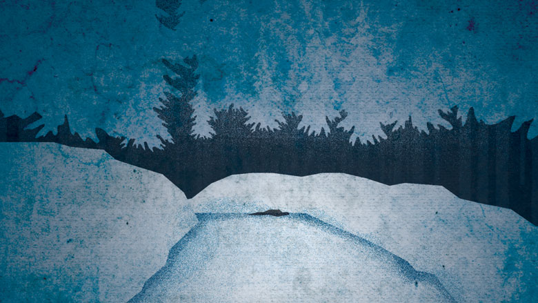 Weathering the Storm