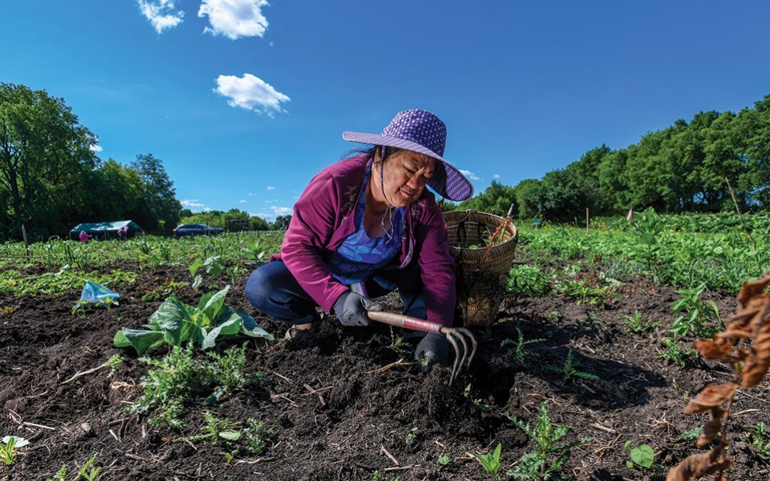 Groundswell Conservancy is Acting on the Climate Crisis