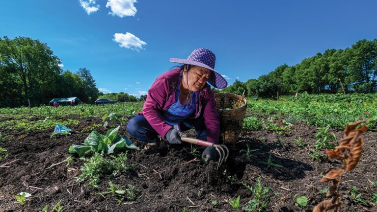 Groundswell Conservancy is Acting on the Climate Crisis