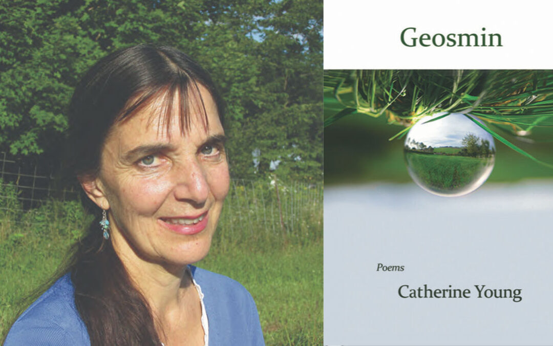 Geosmin by Catherine Young