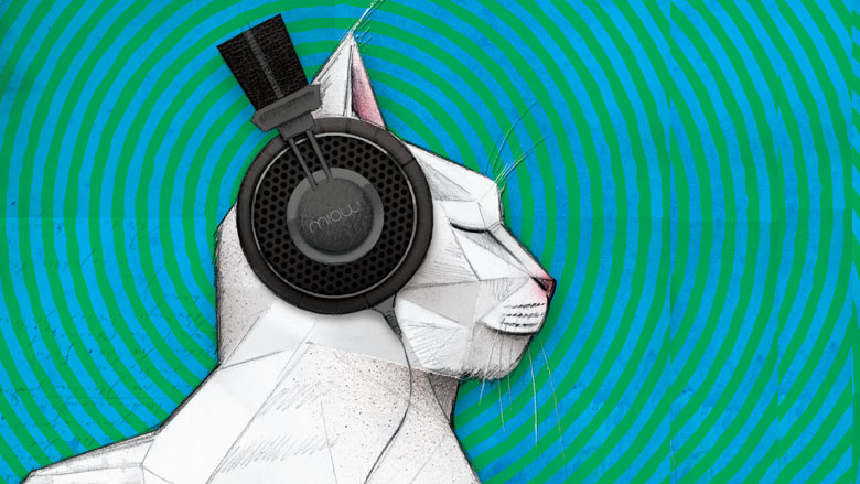Music for Cats