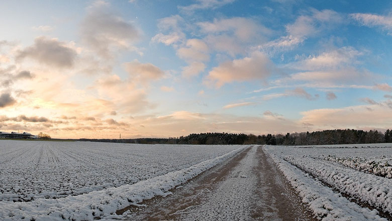 A Day in December