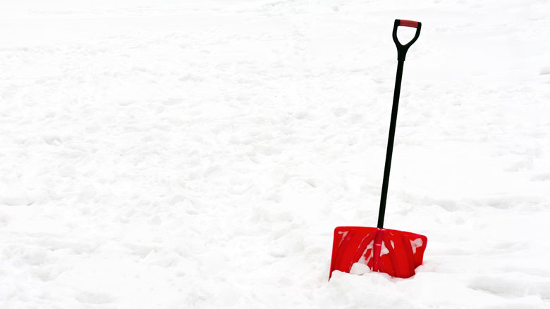 Snow Day