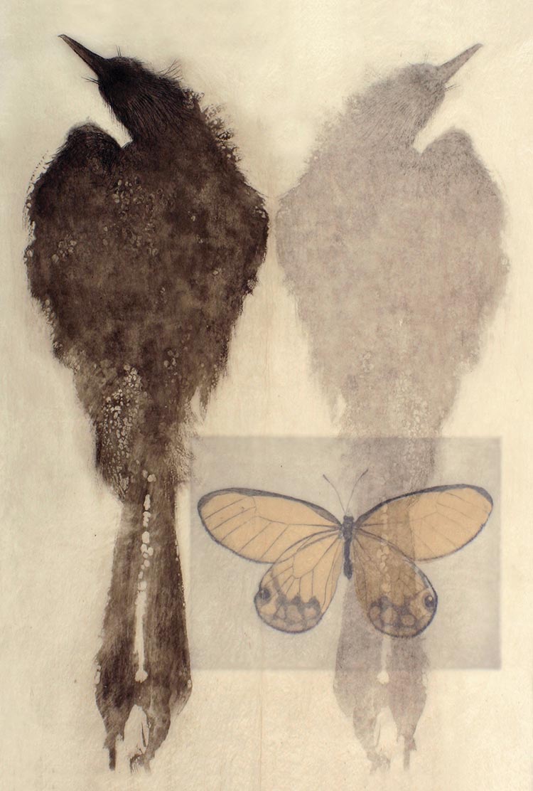 Dark Bird with Moth, 2014. Etching on Gampi tissue attached to BFK paper, 20 x 16 inches