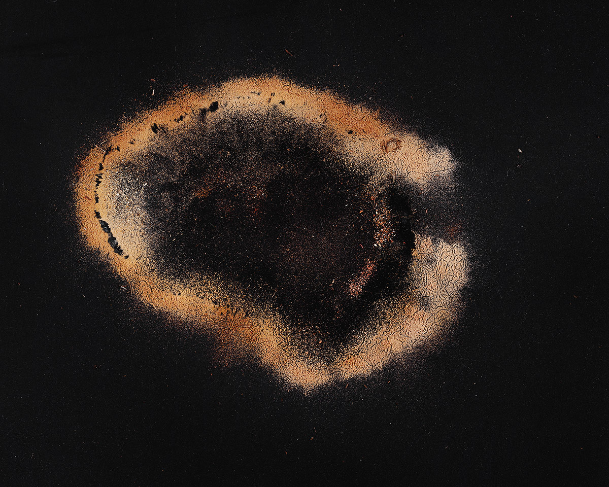Joseph Mougel, Dendroleipos, 2022. Archival pigment print. 40 x 32 inches.