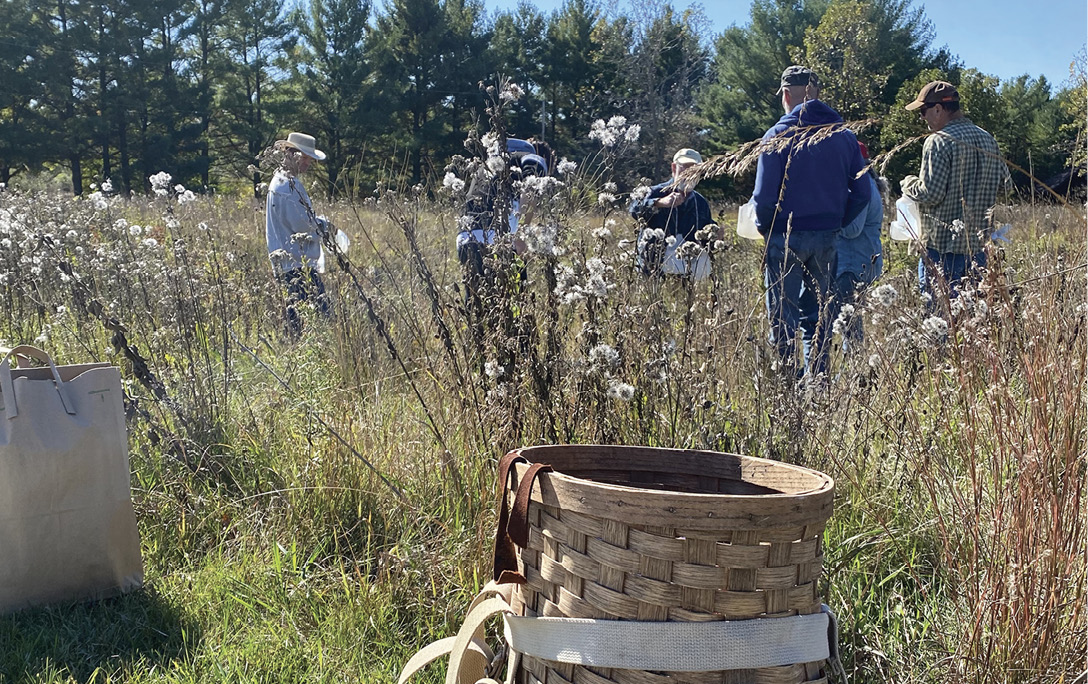 Seed collection with the Friends of the Field Station, October 2021. Seed collection with the Friends of the Field Station, October 2021.