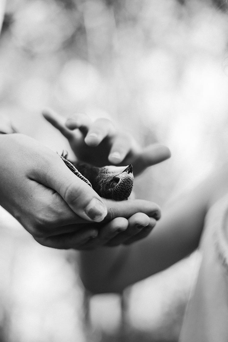 Image by Nine Koepfer A dead bird. Nine Koepfer