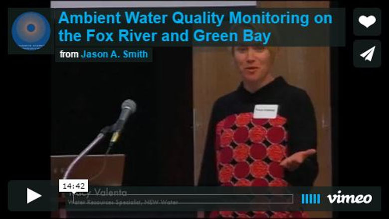 Ambient Water Quality Monitoring on the Fox River and Green Bay